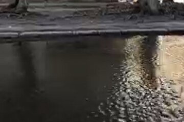 У Києві на Виноградарі двір багатоповерхівки перетворився на “озеро”