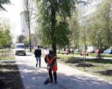 Бульвар Академіка Вернадського в Києві прикрашатимуть платани