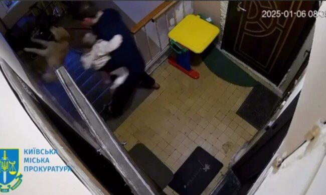 У Києві засуджено чоловіка, який жорстоко поводився та вбив безпритульного пса
