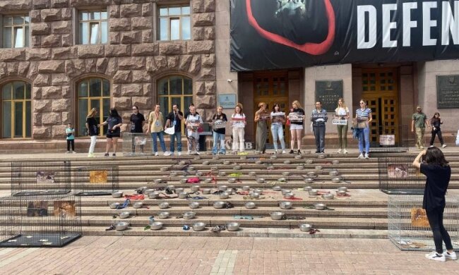 В Києві пройшла акція за звільнення керівниці притулку для тварин в Бородянці, де загинули 222 собаки