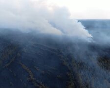 Як виглядають випалені ліси Луганщини з висоти (відео)