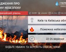 У Києві у вихідні утримається надзвичайна пожежна небезпека