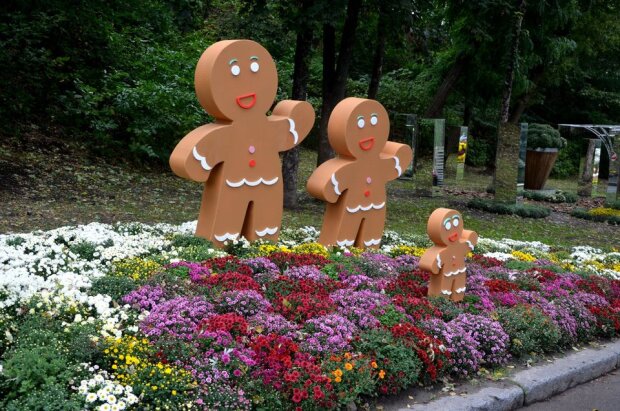 Зефір, шоколад, тістечка та льодяники з квітів: в Києві відкрилась виставка хризантем (фото)