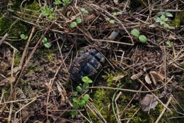 Під час весняної толоки киянин знайшов гранату на Оболоні