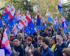 У Грузії пройшов мітинг за євроінтеграцію та відставку уряду (відео)