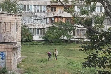 У Києві на Дніпровській набережній школярі вбили голуба (відео)