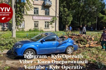 Масовий деревопад під час негоди: на вулицях Києва стоять розтрощені автівки (фото, відео)