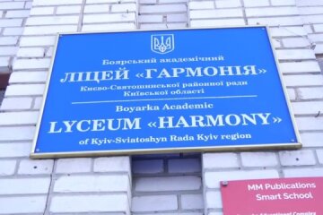 Директор ліцею в Боярці відсторонена від роботи