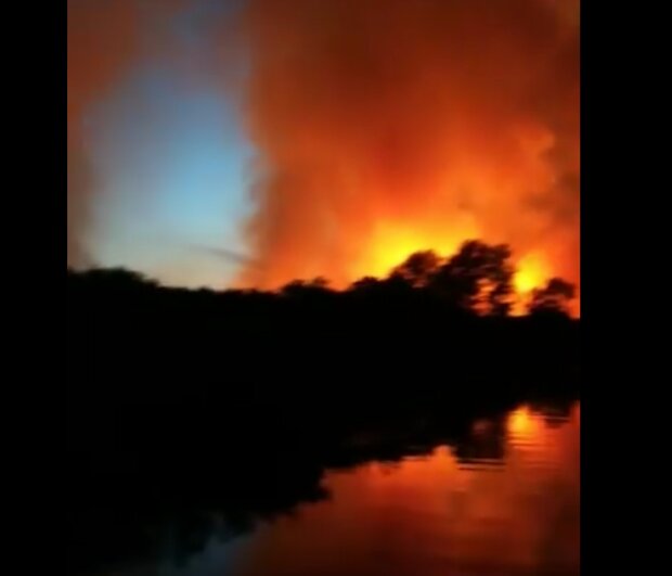 На Херсонщині палає національний парк Нижньодніпровський (відео)