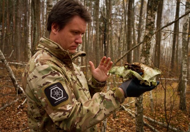 “Я не згоден, що пожежа у зоні відчуження радикально вплинула на заповідник”: радіоеколог про ситуацію з тваринним світом у Чорнобильському заповіднику
