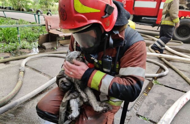 Від вогню врятували жінок та кота: пожежа в багатоповерхівці в Деснянському районі