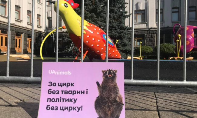 Під Офісом президента екоактивісти провели мітинг проти використання тварин у цирку