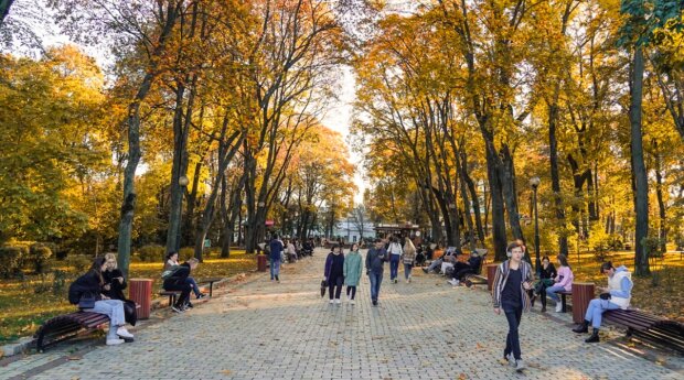 2024-й став найтеплішим у Києві за час проведення спостережень — ЦГО ім. Б. Срезневського