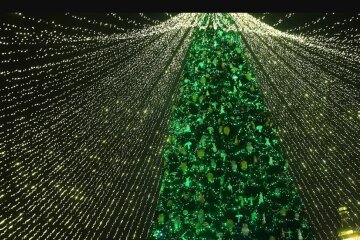 На Софійській площі встановили головну ялинку країни (відео)