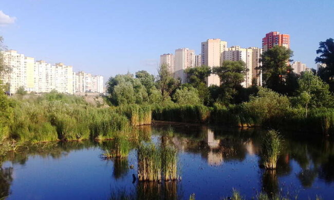 Висотки замість природи: у Києві збираються забудувати озеро Качине