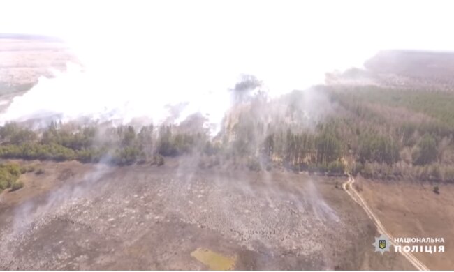 Вогонь знищив 5 га лісу: затримали винуватця масштабної пожежі в Чорнобилі