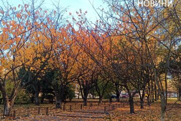Останні дні жовтня у Києві побили температурні рекорди — ЦГО ім. Б.Срезневського