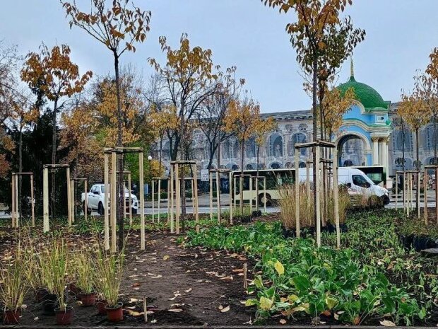 На Контрактовій площі завершили оновлення зеленої зони