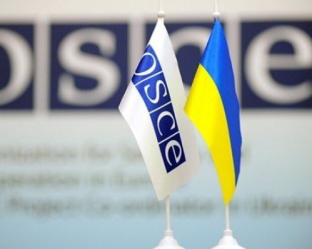ОБСЄ прийняла резолюцію щодо газопроводів в обхід України