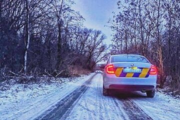 Жовтий рівень: у Київській області очікується сильний вітер та ожеледиця