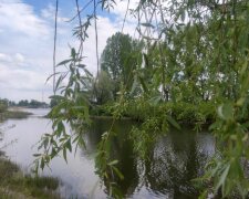 Символ дружби на Оболоні: Литва подарує Києву новий міст у парку на Прирічній