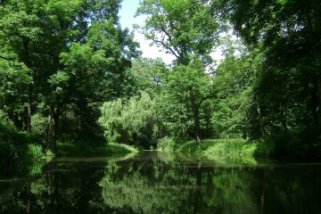 До генплану столиці внесено нові заповідні зони (перелік)
