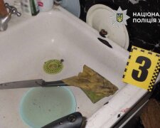 У Києві судитимуть чоловіка за спробу вбити рідну сестру