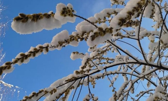 Весь Вербний тиждень дощитиме, місцями зі снігом. Синоптик попередила про контрасти від -5 до +18