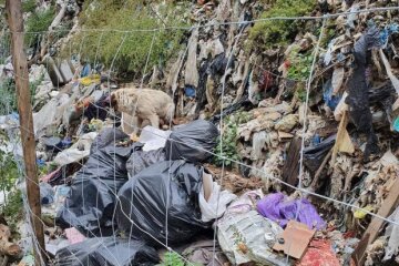 Полігон у Старих Петрівцях завдав збитків природі на 55 мільйонів гривень