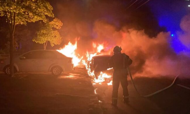 На узбіччі дороги у столиці палала автівка - на щастя ніхто не постраждав