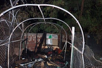 У Києві горів притулок для тварин, загинули семеро котів