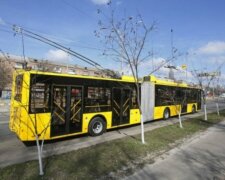 Пасажирам в Києві довелося штовхати тролейбус (відео)
