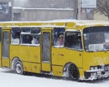 З київської маршрутки викинули в сніг двох п’яних пасажирів (відео)