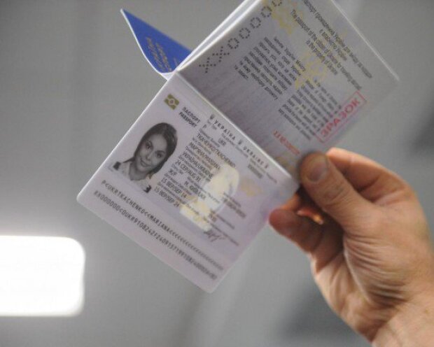Виробниками біометричних паспортів має зайнятися НАБУ – експерт