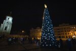 На Софіївські площі Києва за кошт меценатів встановлять головну ялинку столиці