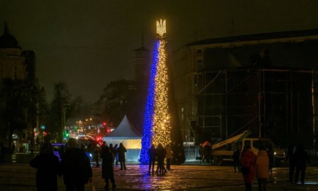 Новорічну ялинку на Софійській площі встановлять за кошти меценатів