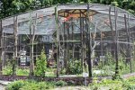 Столичний зоопарк за ₴4,5 млн будуватиме нові вольєри для тимчасової перетримки тварин та птахів