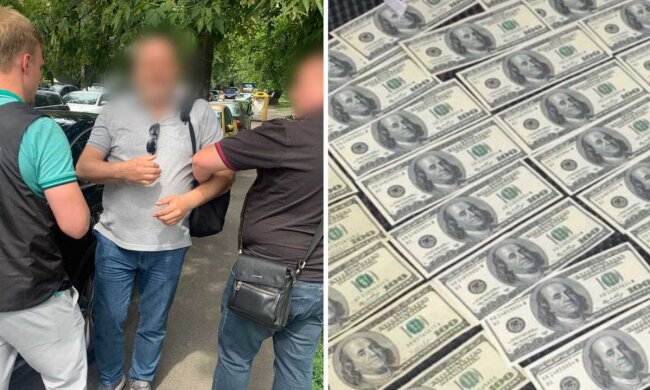 Директор юрфірми у Києві організував схему з отримання інвалідності завдяки впливу на МСЕК