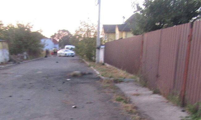 В Бориспільському районі Київщини внаслідок вибуху боєприпаса, загинув чоловік — поліція