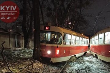 Столичний трамвай зійшов з колії та в‘їхав у дерево