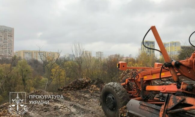Парк «Балка Проня» у Києві очистять від сміття — суд підтримав позов прокуратури
