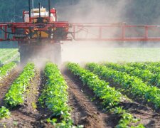 В Україні варто посилити контроль за використанням пестицидів