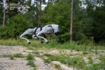 Новітній роботизований помічник саперів МРЦШР ДСНС, собака-робот, допомагатиме розміновувати Київщину