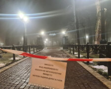 У Києві закрили Маріїнський парк через негоду
