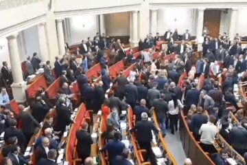 В Раді побились слуги народу
