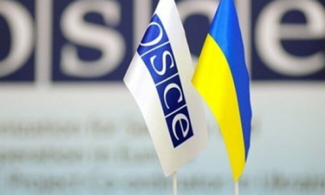 ОБСЄ прийняла резолюцію щодо газопроводів в обхід України