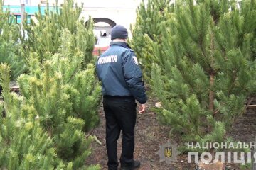В столиці виявили 71 нелегальний ялинковий ринок
