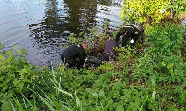 В озері на Дарниці знайшли мертве тіло
