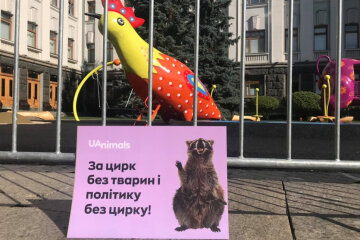 Під Офісом президента екоактивісти провели мітинг проти використання тварин у цирку