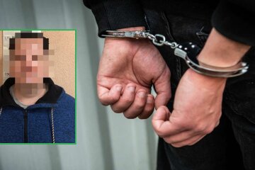 Київського журналіста, що розбещував неповнолітніх, взяли під варту